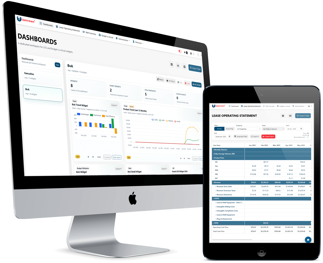 Lease Operating Statements and Dashboards